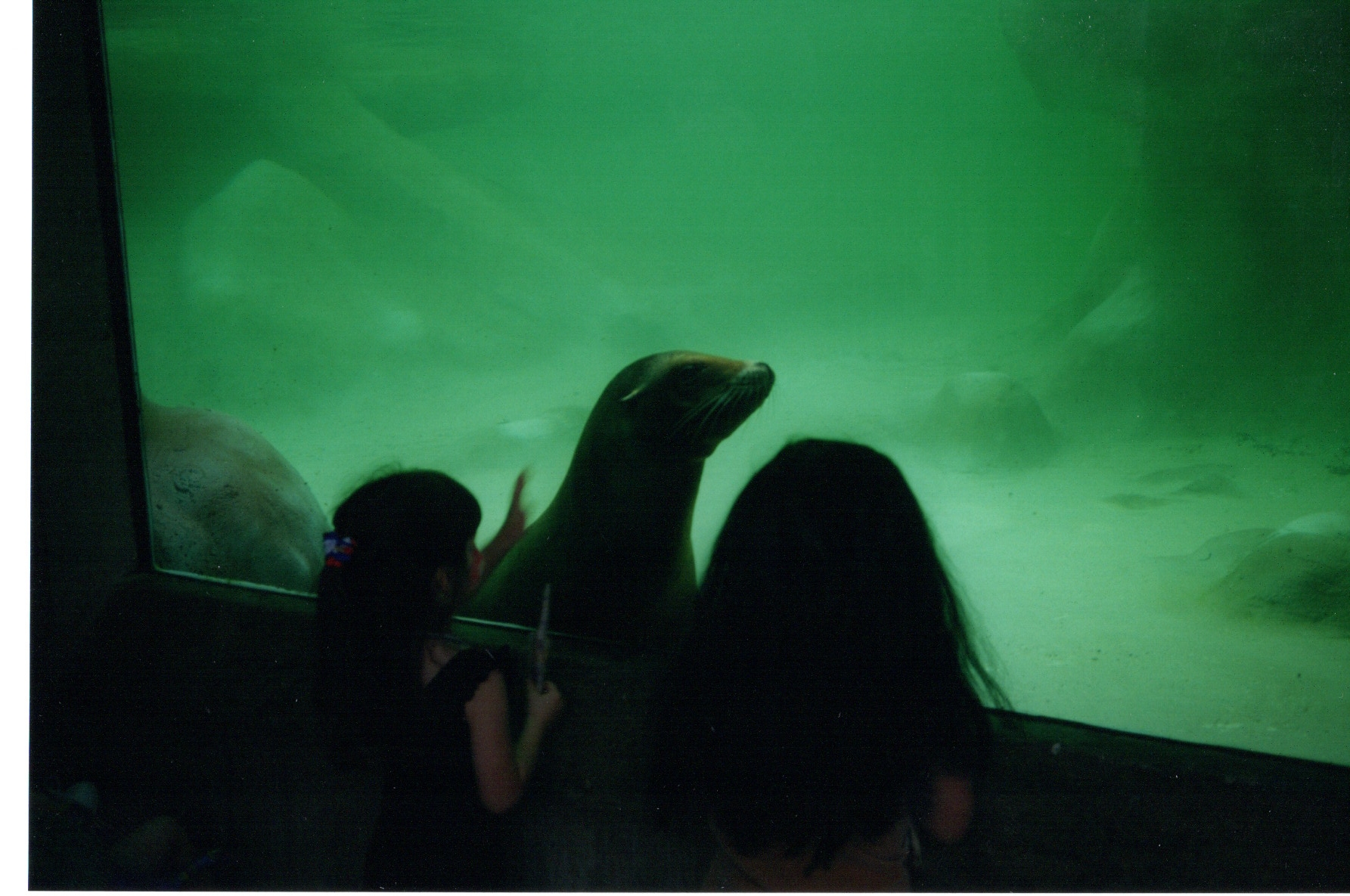 ./1997/10 - October/img05232020_275.jpg